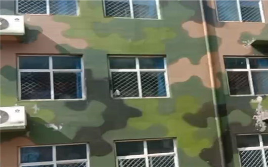 宁德墙面军用迷彩施工方案